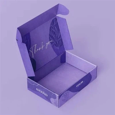 Karta tal-kartun korrugata bl-ingrossa li tippakkja żraben tal-ħwejjeġ personalizzata tal-ajruplan tal-kartun tal-karti ta 'barra